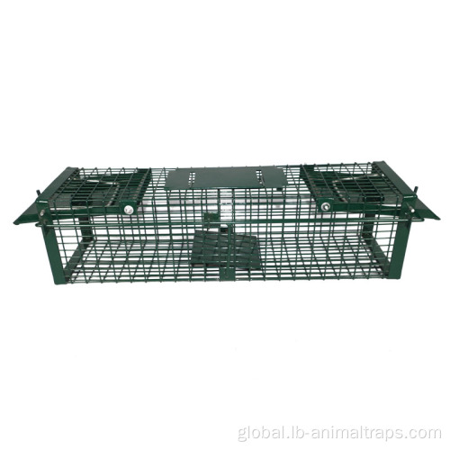 Collapsible Squirrel Trap Cage Control Bird Trap Bird Traps Dog Trap Manufactory